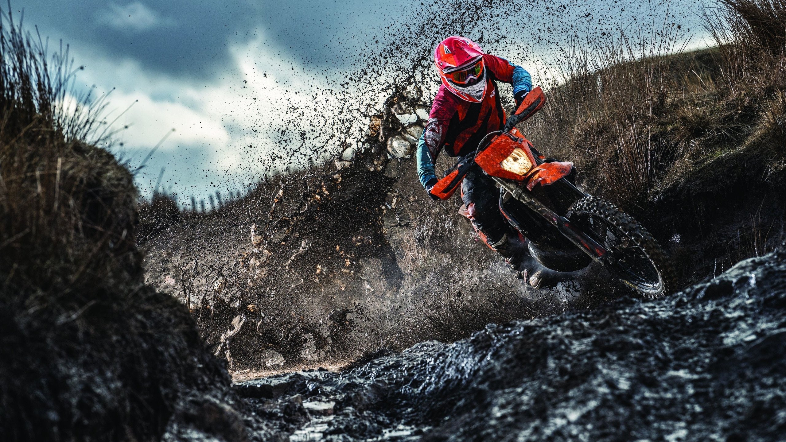 霍勒迪末节狂飙定乾坤，灰熊力克吉林展现冠军底蕴