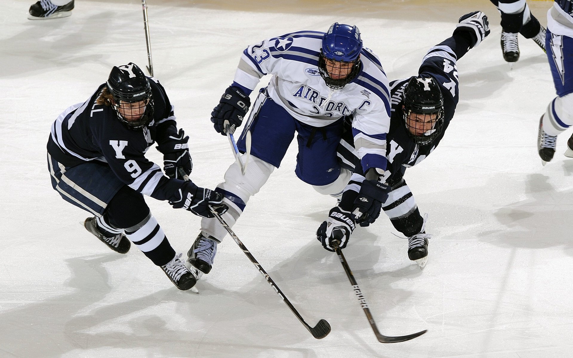 森林狼正面击溃太阳，霍勒迪生死战接管比赛，新一代狼王的诞生